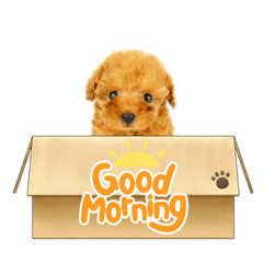 cocoa_20210727074033