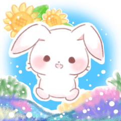 howa howa cute summer rabbit