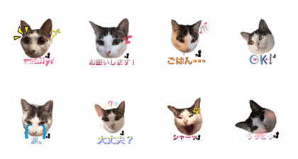 PRINCESS OMANE 2