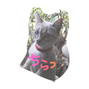 MAMEPUKU23