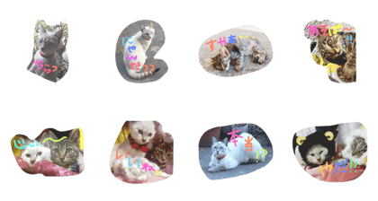 MAMEPUKU23