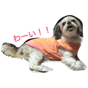 cute milku
