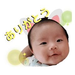 Haru&nbsp; &nbsp; Stamp