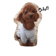 dog ai