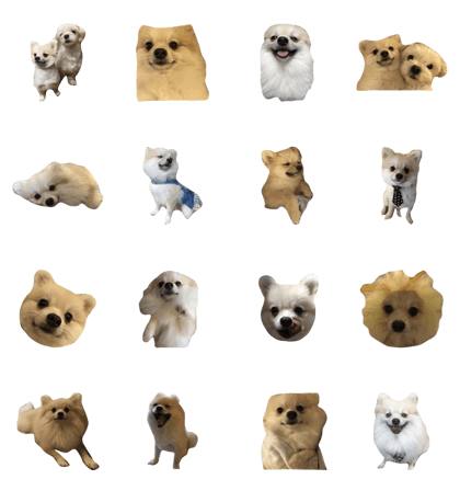 wan 01