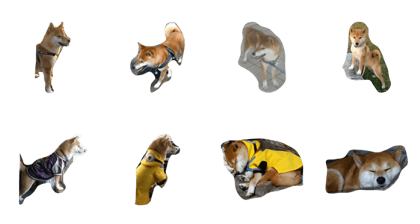 chachamaru inu