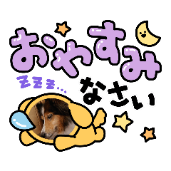 junko_20210727152007