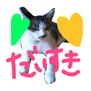 CAT.12