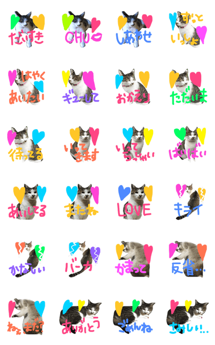 CAT.12