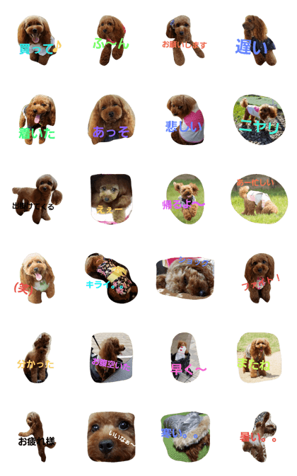 toypoodle MOCA part3