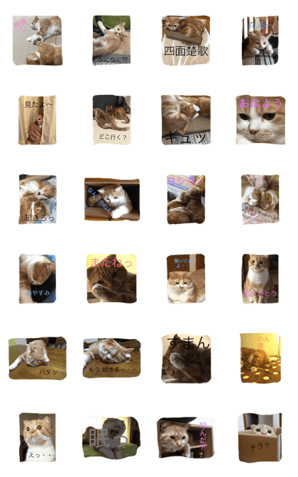 brotherCAT
