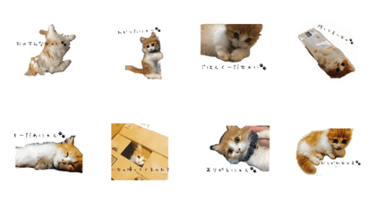 chai's stamp