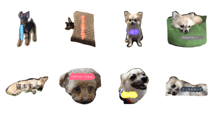 My love pet
