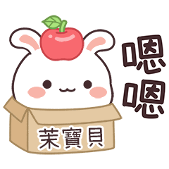 嬌嬌兔姓名貼_茉寶貝專用