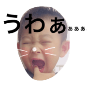Kogen2