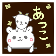 emday234
