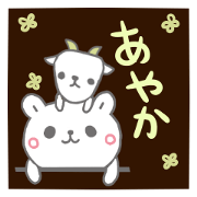 emday254
