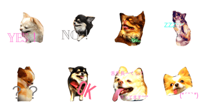 Chiwawa's 0621