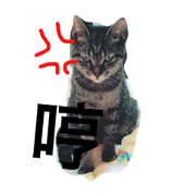 teemo