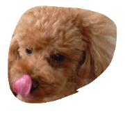 bowwwow
