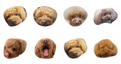 bowwwow