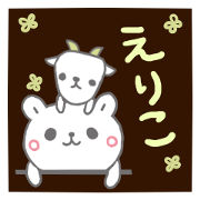 emday255