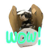 bababaron