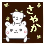 emday257