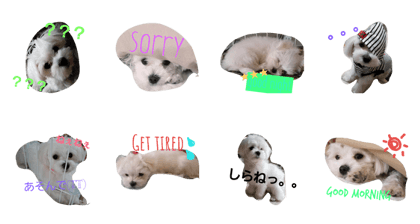 chikochan