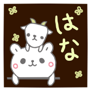 emday259