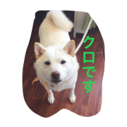 kurosannotsubuyaki