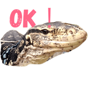 tennkun