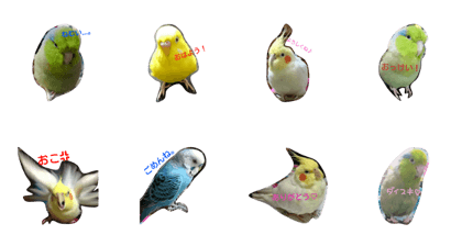 pii.remon.chon.mameta