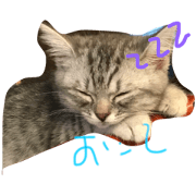kottetan