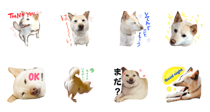 pon!!!