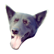 nunulo