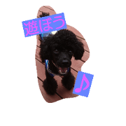 My dog Mickey's cute stamps