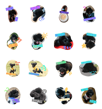 My dog Mickey's cute stamps