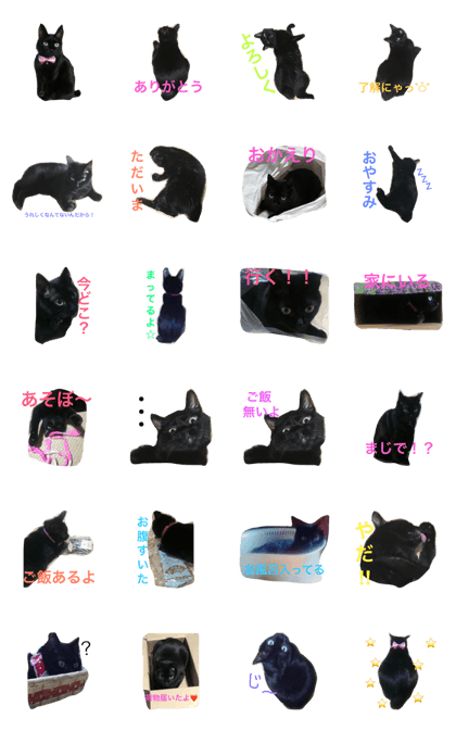 Black cat Mee-chan