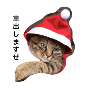 Grateful Cat2