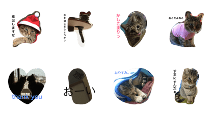 Grateful Cat2