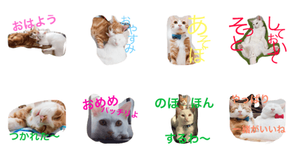 kojitorakyodai