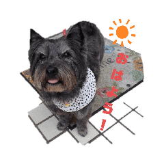 Nozomi_20210727162306No2