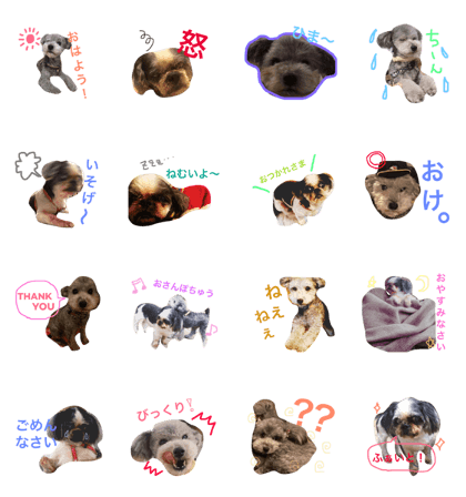 sakuhana