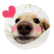 Normal dog's the second stamp!