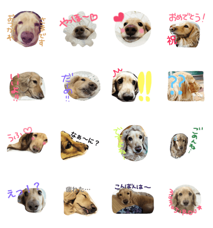 Normal dog's the second stamp!