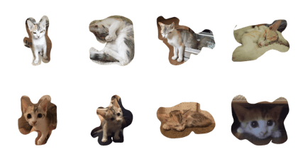 my cat name