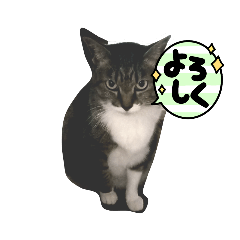 chie_20210727192558
