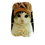 honey.yu