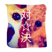 dog's fun!